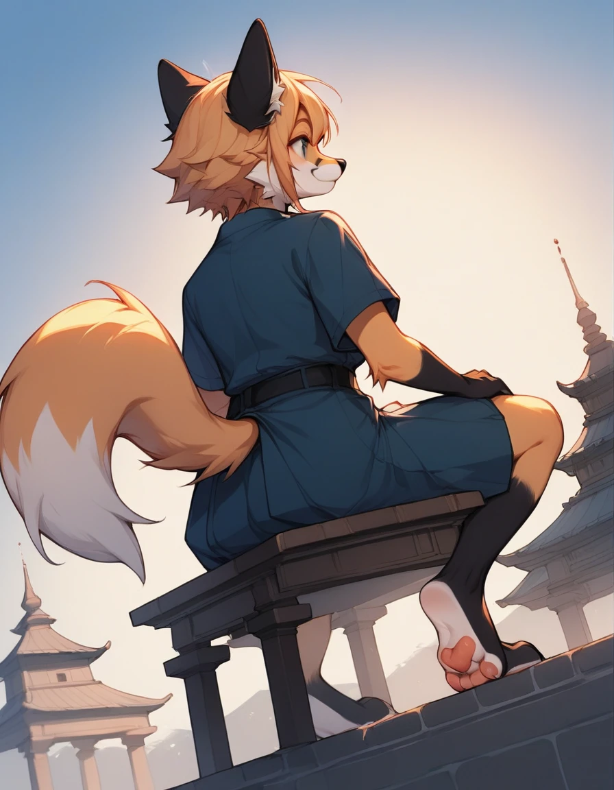 score_9, score_8_up, score_7_up, score_6_up, source_anime, rating_safe, dagasi_style, furry, temple, fox girl, sitting, low view, from behind, soles at spectator, showing soles, grinning, paws, 3 toes, barefoot, paws