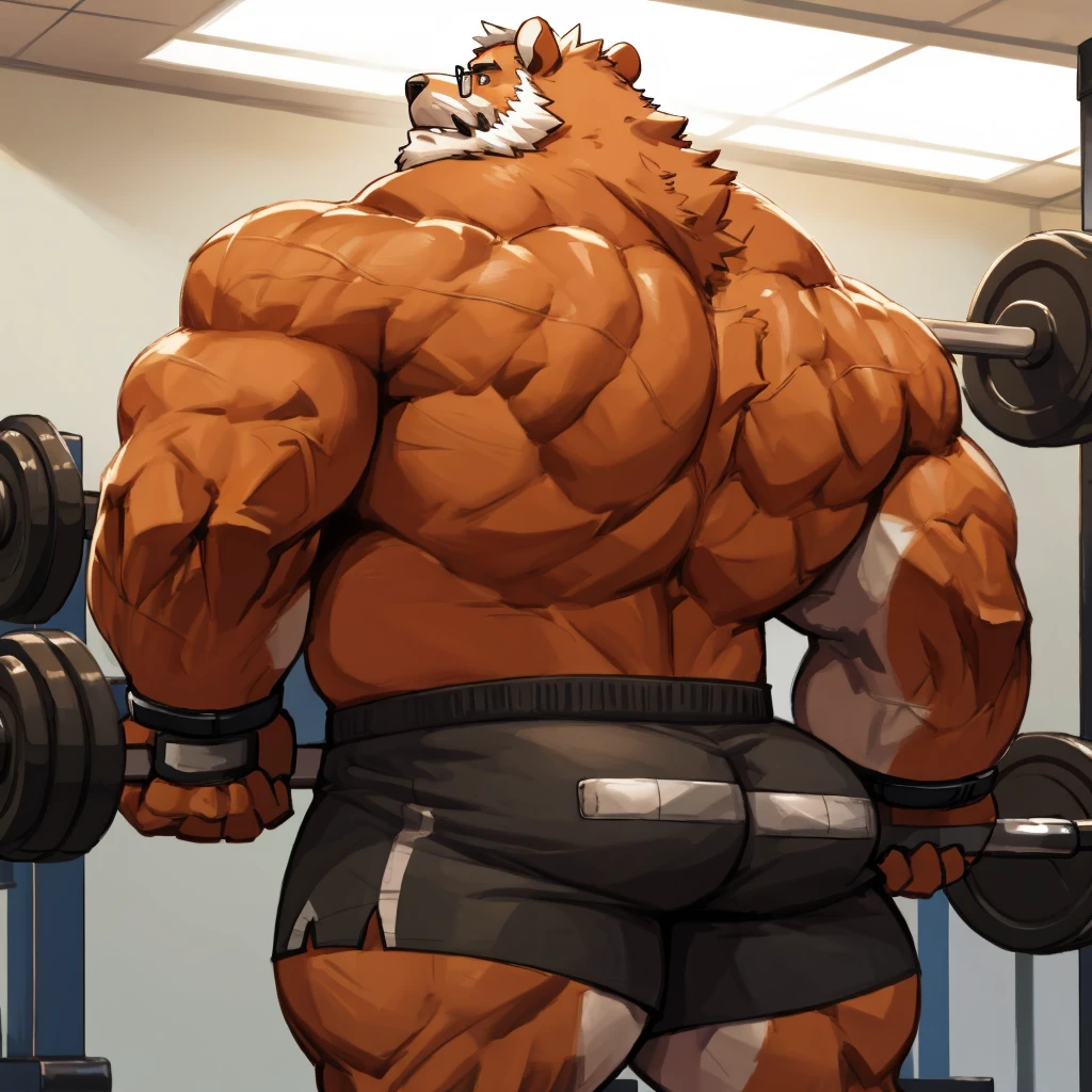 solo, 1boy, Huge Muscular Old Grizzly Bear wearing glasses , pectoral, huge pectoral, wide pectoral, short white hair, short pants black wristbands and shirtless topless, bearded, Mustache, gym background, backside, 
masterpiece, high detailed, 8k, high resolution, at the gym working out his back on the lat pulldown cable machine weighing over 100lbs and 45kgs of weights pushing up the limits