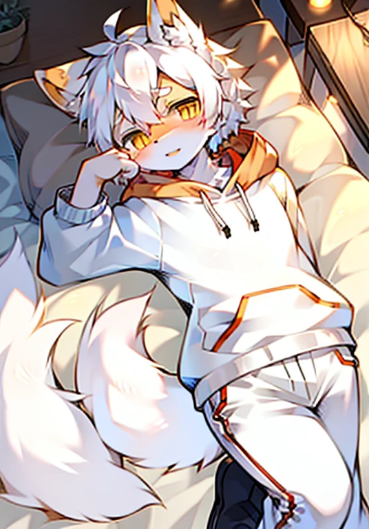 White Wolf,White hair,Fluffy tail,Wearing a white hoodie,Wearing white pants,Golden Eyes,The lines are soft