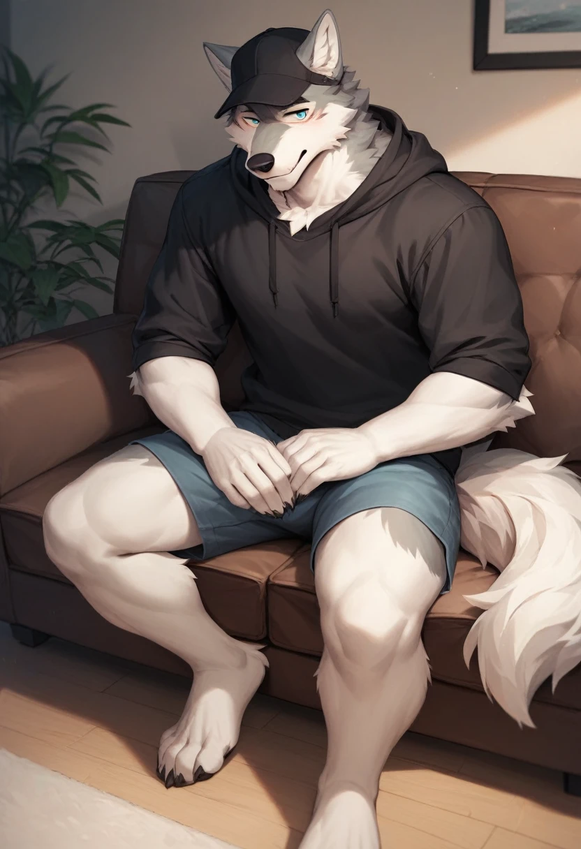 score_9,score_8_up,score_7_up,score_6_up,score_5_up, source_furry, anthro, (Wolf, furry, anthropomorphic), Male, siting on couch, inside, Living room, wearing shorts, wearing large black hoodie, black hat backwards, Furry art, Fur on arms, big Fluffy tail, fur on legs, (Fur covering whole body, Best quality)