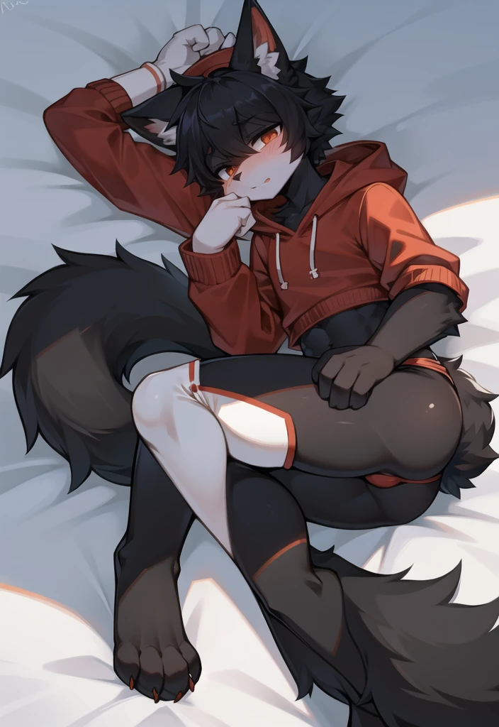 (Wolf, furry, anthropomorphic), male, feminine body, laying on bed, bedroom background, outside, wearing short shorts, wearing red hoodie, Furry art, Fur on arms, big Floofy tail, fur on legs, (Black Fur covering whole body, Best quality, human like body figure), Noon, wearing white hat, wearing thigh high socks, face blush