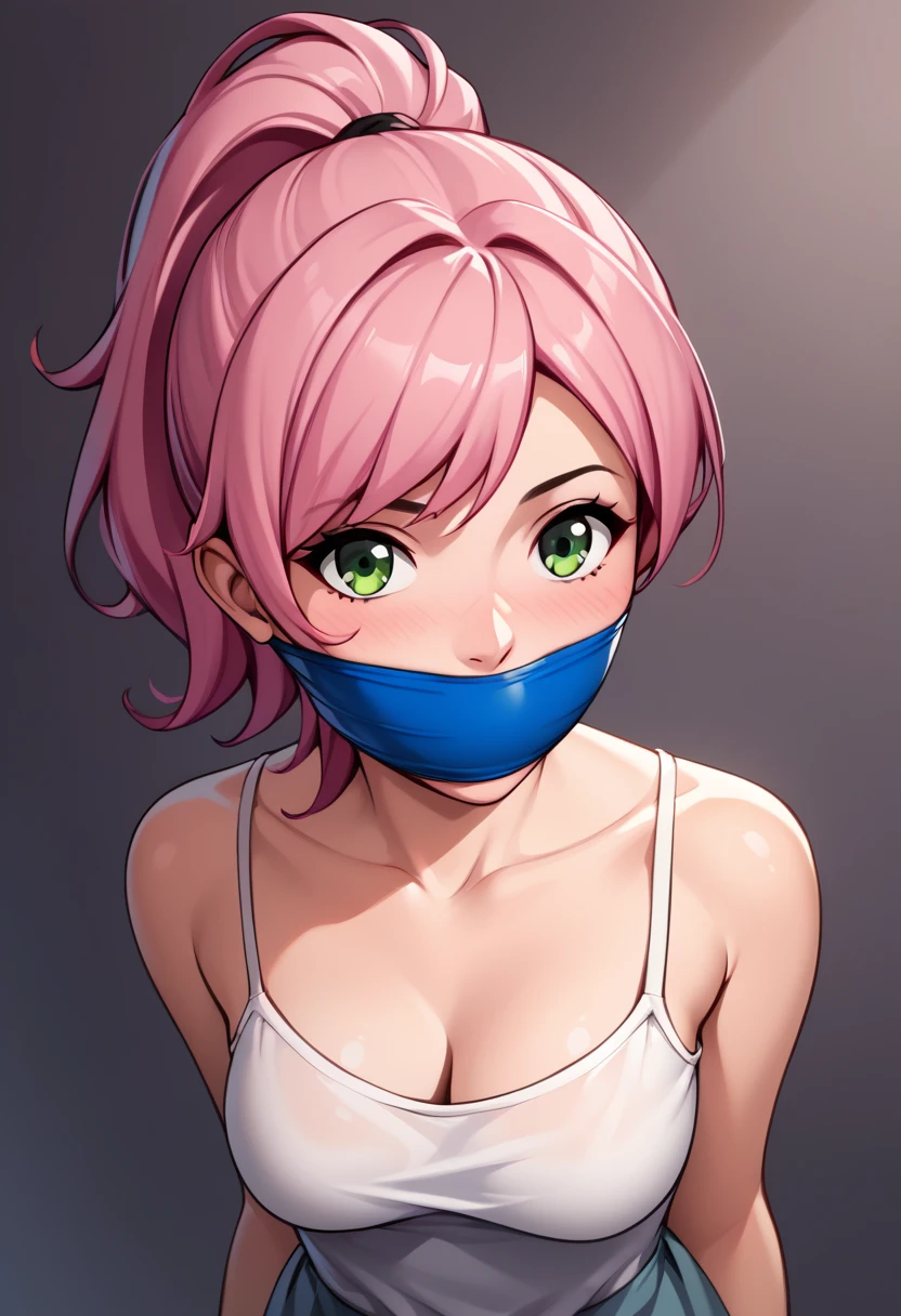 score_9, score_8_up, score_7_up, score_6_up, score_5_up, score_4_up, source_anime, BREAK
1girl, medium breasts, pink hair, medium hair, ponytail, green eyes, gag, wrapgag, improvised gaf
