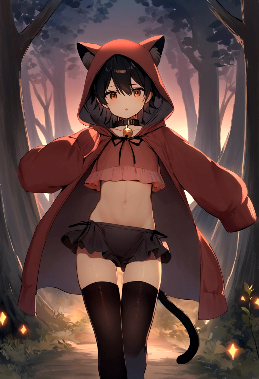 A boy walking in the wood at Twilight. He was wearing a crop top hoodie that reveals his feminine body and thigh highs, covering it all up with a red hood. He has black hair and brown eyes. He has cat ears and a tail that has a ribbon tied at the end, a collar was around his neck which has a round bell attached to it.