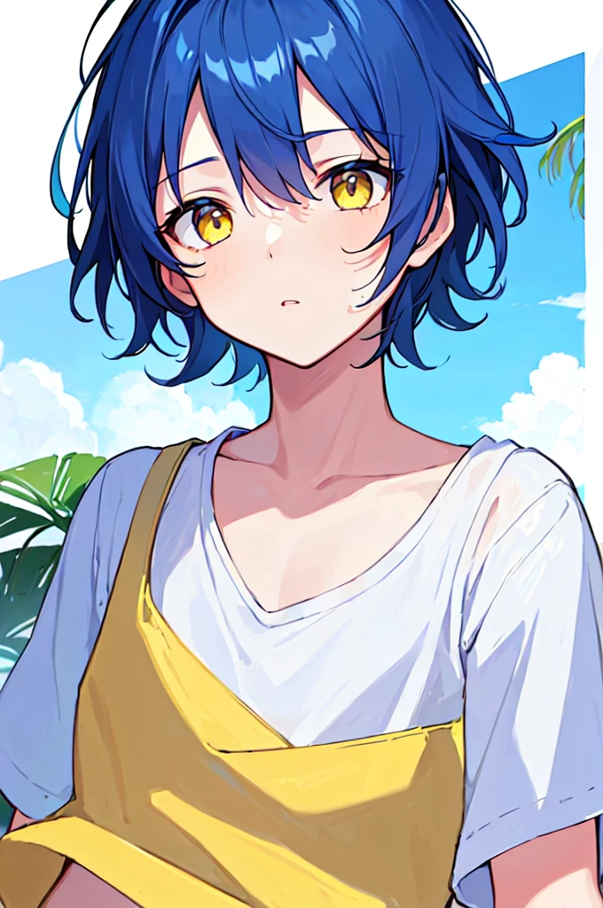 [(WHITE BACKGROUND:1.5),::5], ((((masterpiece)))), high quality, very_high_resolution, large_filesize, upper body, full color, ((Solo)), ((little boy)), 13 old year, men's short deepblue hair, vivid color, ((yellow eye)), Summer clothes white, animestyle,