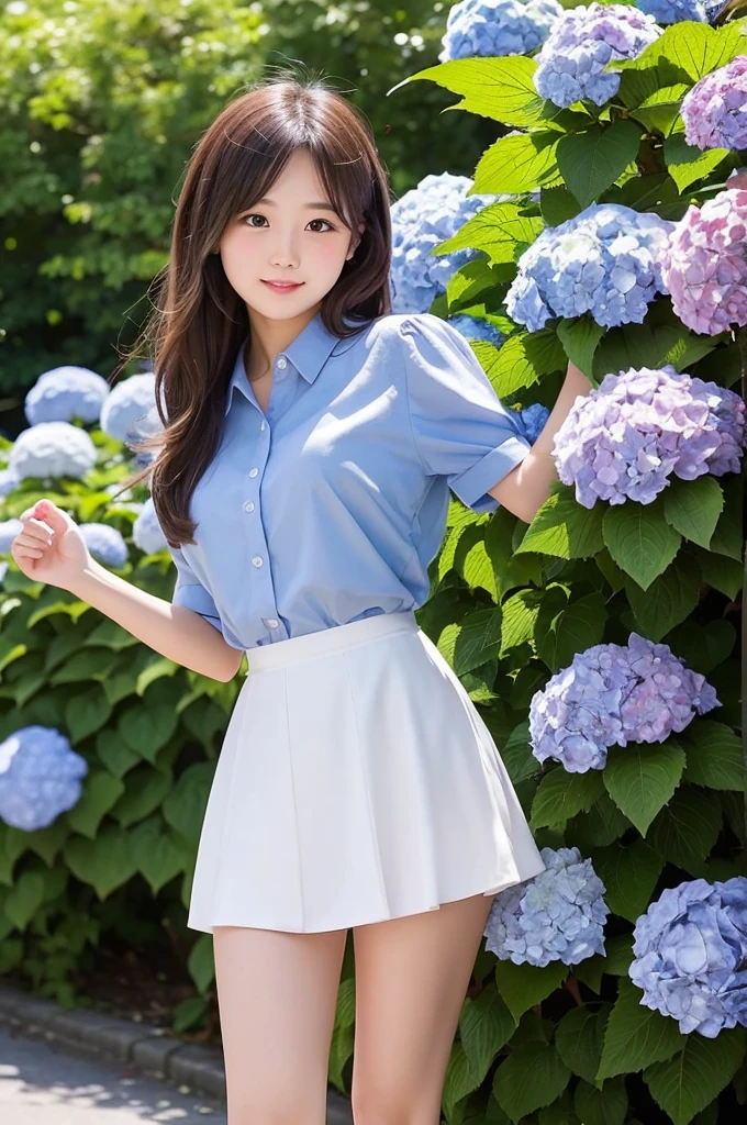 A cute 20-year-old girl in a park with hydrangeas in bloom（mini skirt）