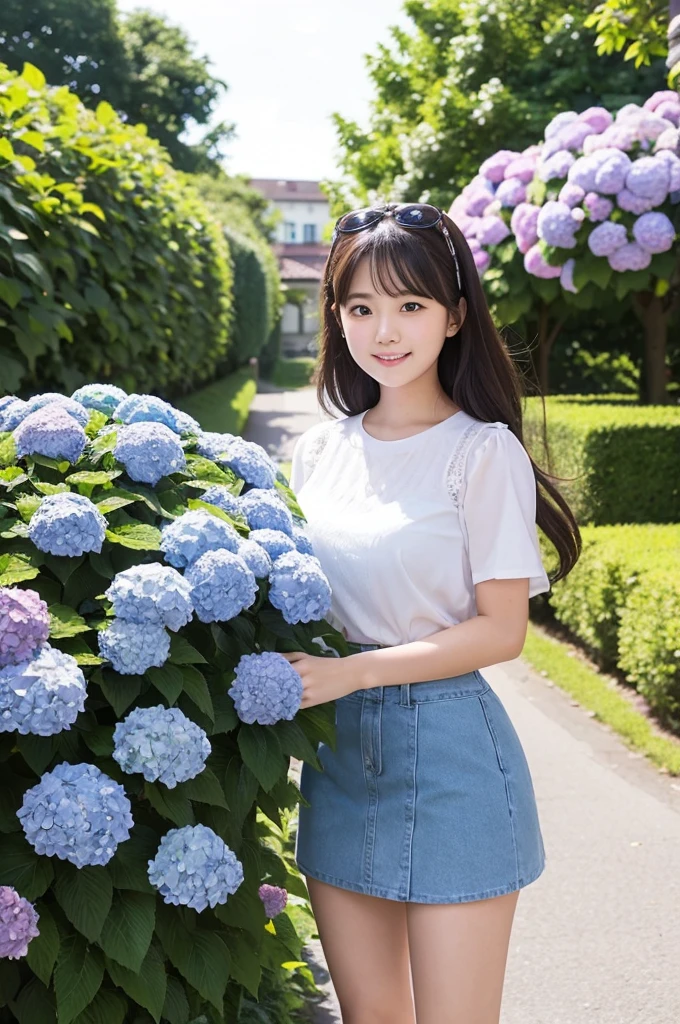 A cute 20-year-old girl in a park with hydrangeas in bloom（mini skirt）