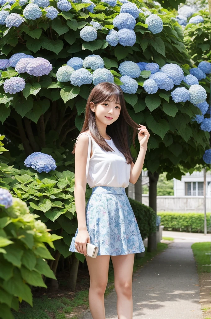 A cute 20-year-old girl in a park with hydrangeas in bloom（mini skirt）