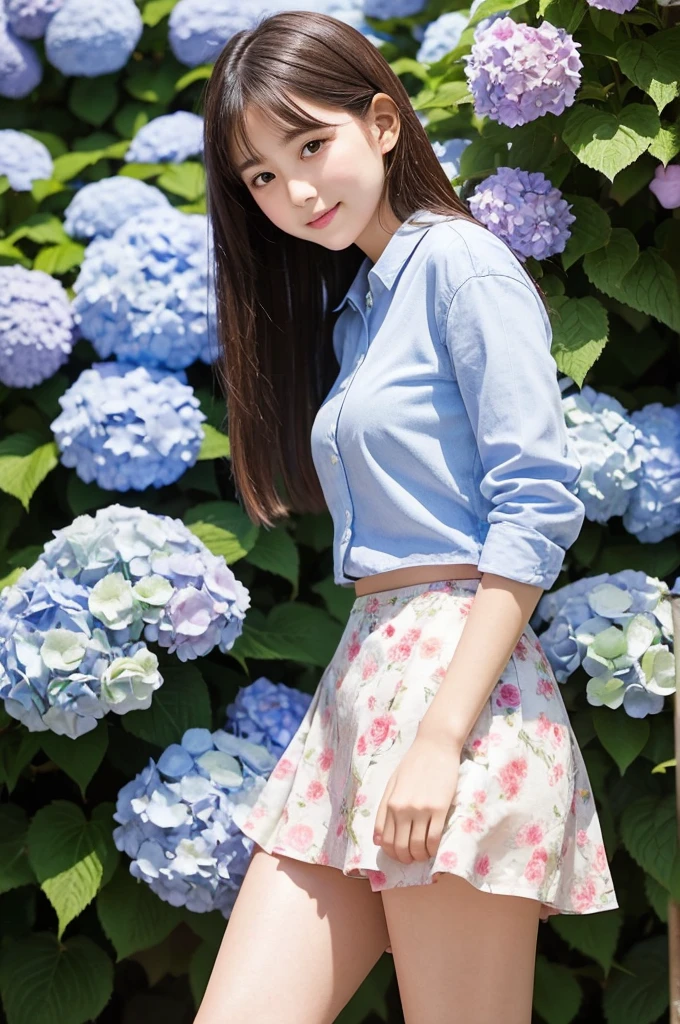 A cute 20-year-old girl in a park with hydrangeas in bloom（mini skirt