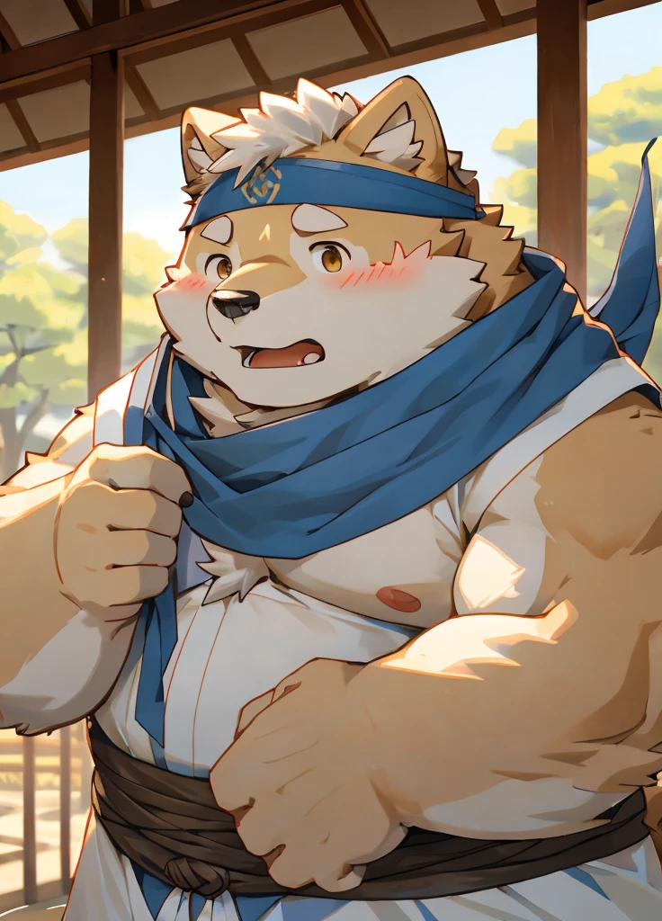 (masterpiece),(Very detailed),(best quality),hairy,Shiba Inu,fur,white hair,Gray pupil,Chubby,(Poor),(Japan samurai attire),((blue scarf)),((Brown headband)),(blush:1.1),((shy)),紧张shy的表情,Temple Background,8K,(high quality),(Ultra high quality),(Super detailed),(Best Works)
