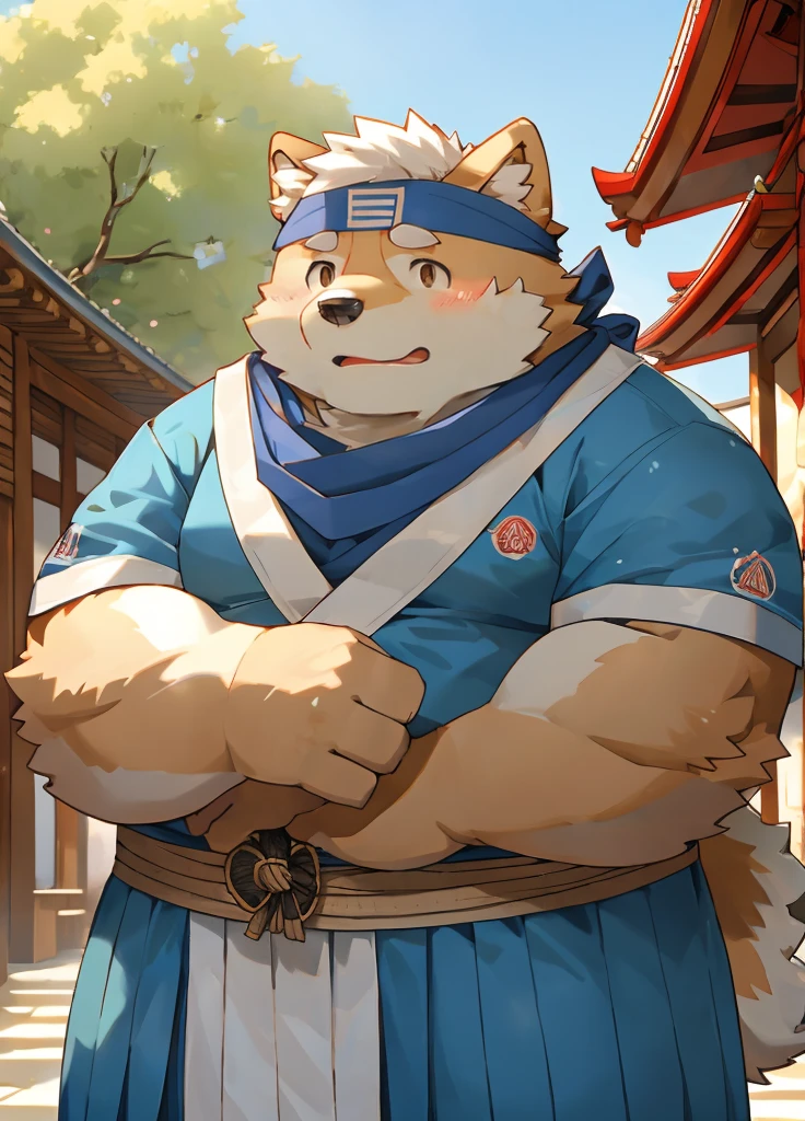 (masterpiece)，(Very detailed)，(best quality)，hairy，Shiba Inu，fur，white hair，Gray pupil，Chubby，(Poor)，(Japan samurai attire)，((blue scarf))，((Brown headband))，(blush:1.1)，((shy))，紧张shy的表情，Temple Background，8K，(high quality)，(Ultra high quality)，(Super detailed)，(Best Works)