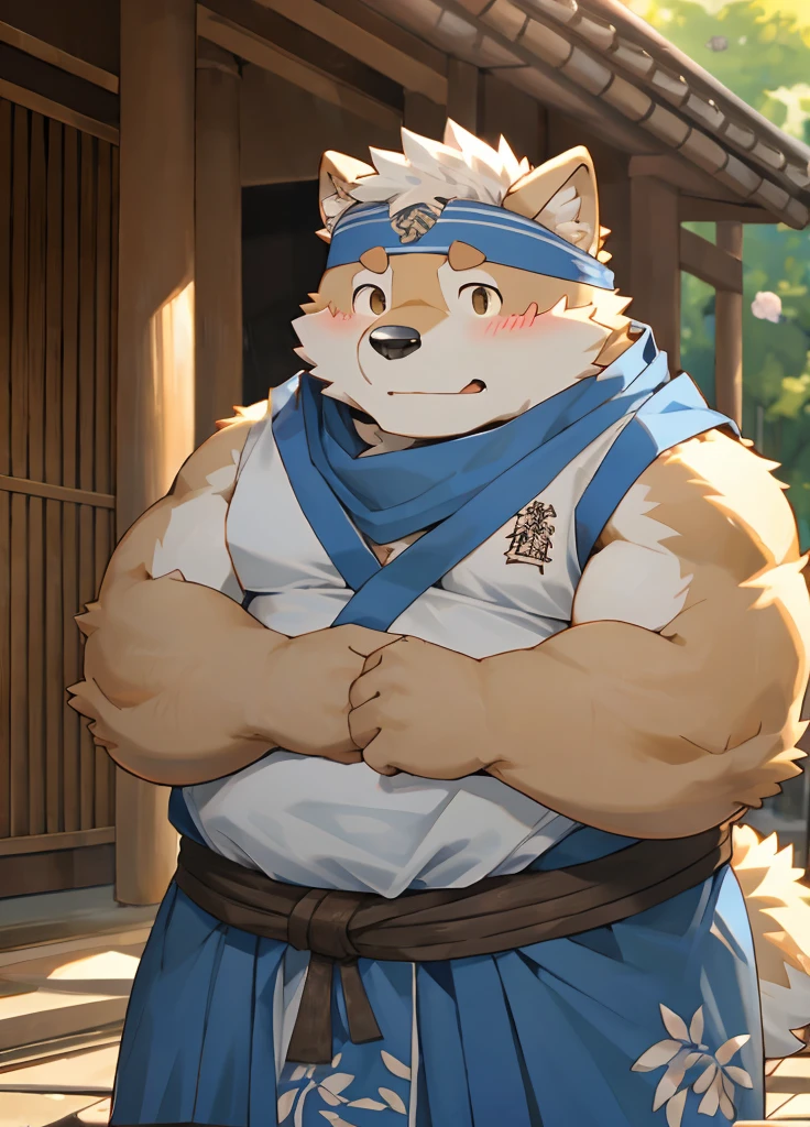 (masterpiece),(Very detailed),(best quality),hairy,Shiba Inu,Black fur,white hair,Gray pupil,Muscular,(Japan samurai attire),((blue scarf)),((Brown headband)),(blush:1.1),Handsome expression,Temple Background,8K,(high quality),(Ultra high quality),(Super detailed),(Best Works)