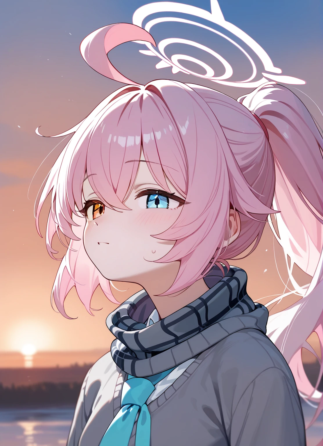 (score_9,score_8_up,score_7_up,),medium hair,heterochromia,ponytail,ahoge,halo,grey sweater,pink hair,(hoshino-ponytail:0.8),(hoshino \(blue archive\):0.8),(blue scarf:1.1),(white shirt,blue necktie:0.9),shoes,beautiful eyes,upper_body,portrait,sunset,outdoors,