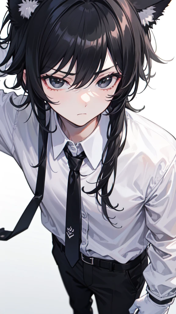 18-year-old boy,cute,Wear a white long-sleeved shirt and a black work tie,Wear black pants,Wear black booties,Wear white gloves,wear cat ear,Black hair,Black eyes,Handsome,Disdainful and cold expression,Close-up photo