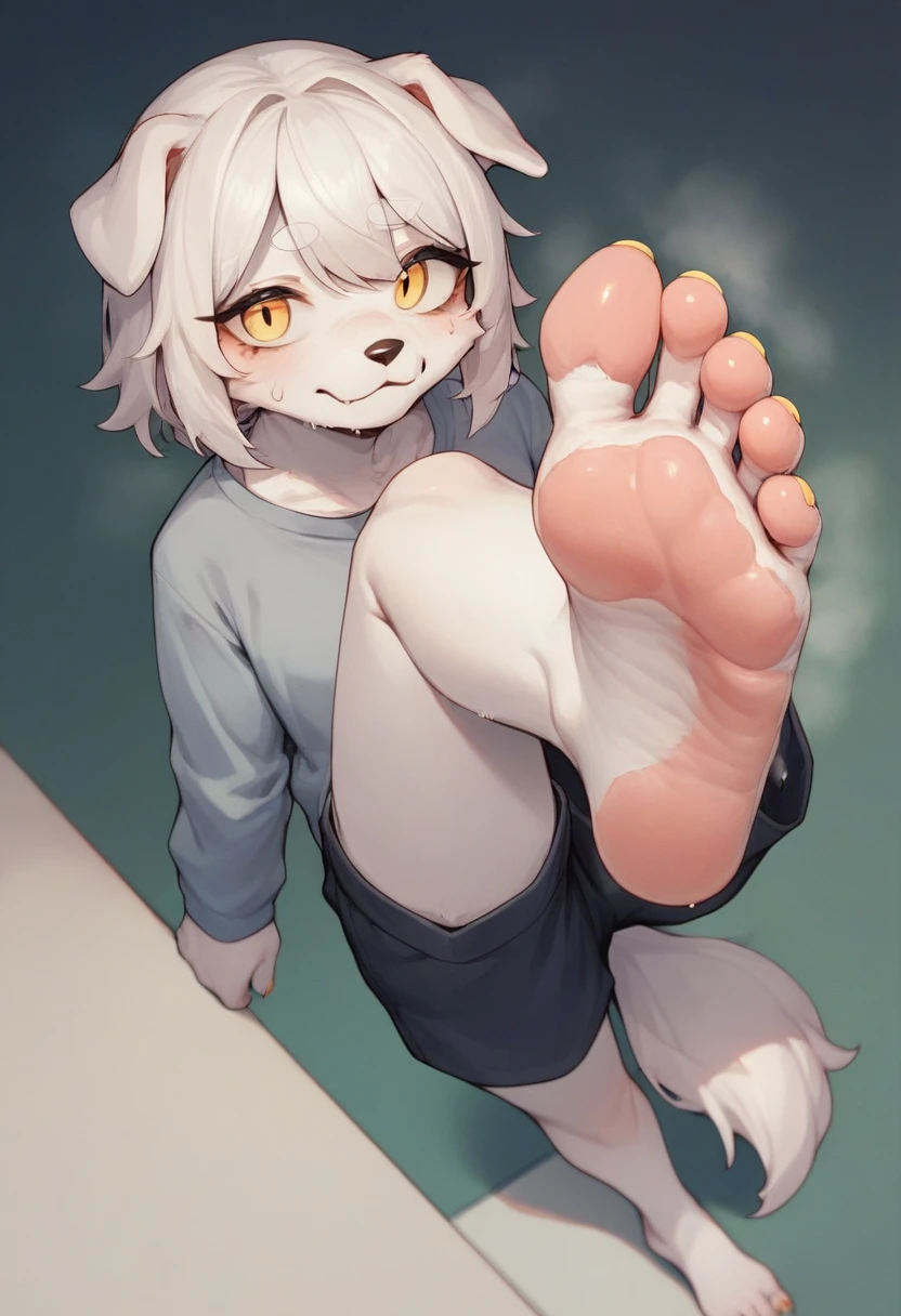 score_9,score_8_up,score_7_up,score_6_up,score_5_up, source_furry, hadrian,from above,fisheye,standing and show foot,shanding and show sole,standing on one leg,foot focus,sole,barefoot,no shoes, furry female, dog girl, white fur, yellow eyes, white hair, floppy ears, paw_sloe,sharp_toenails, pawpads, shorts, steaming and sweat feet, stinky feet
