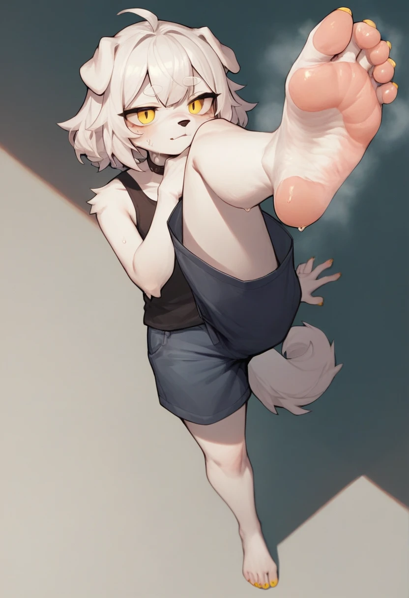 score_9,score_8_up,score_7_up,score_6_up,score_5_up, source_furry, hadrian,from above,fisheye,standing and show foot,shanding and show sole,standing on one leg,foot focus,sole,barefoot,no shoes,  furry female, dog girl, white fur, yellow eyes, white hair, floppy ears, paw_sloe,sharp_toenails, pawpads, shorts, steaming and sweat feet, stinky feet