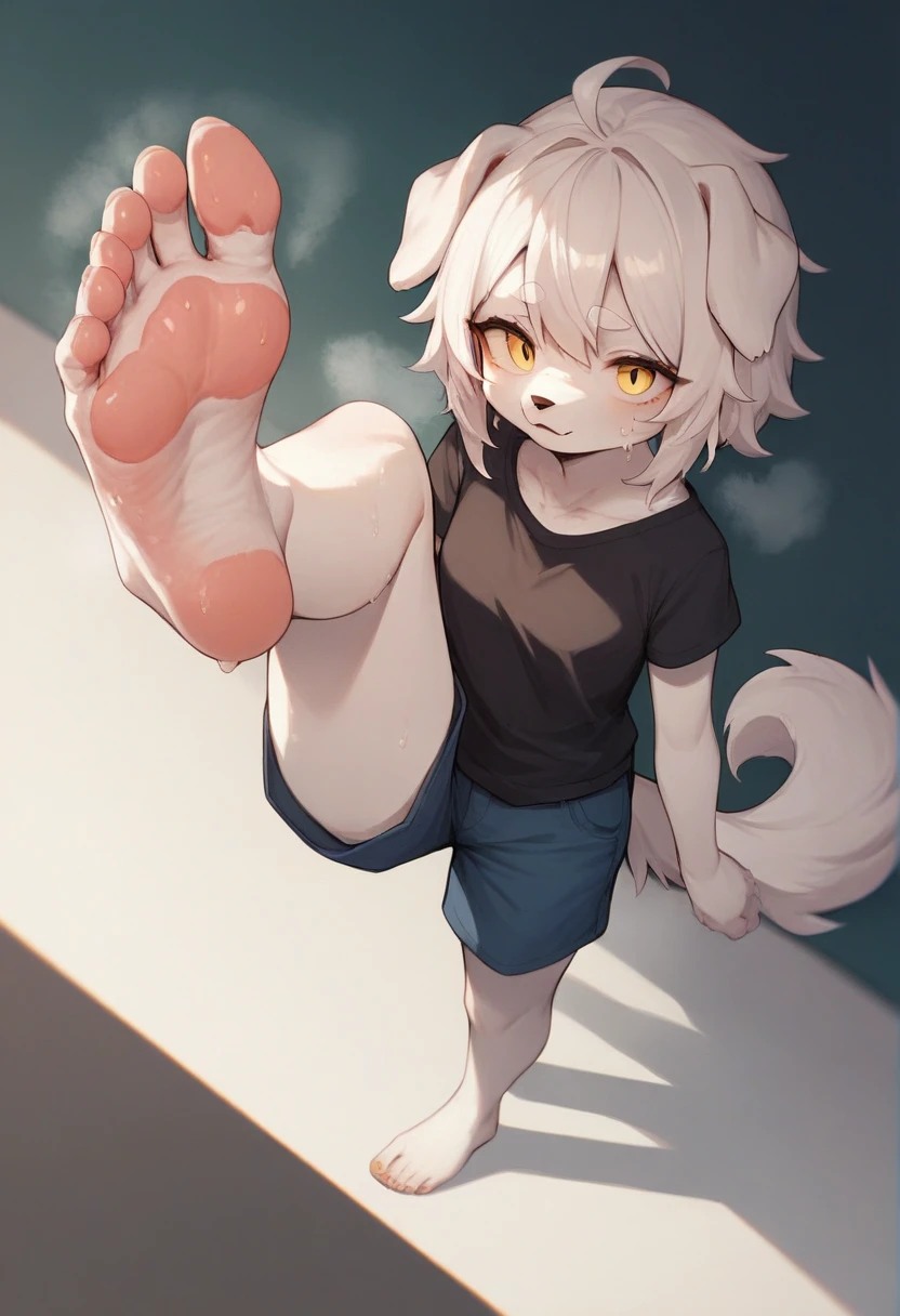 score_9,score_8_up,score_7_up,score_6_up,score_5_up, source_furry, hadrian,from above,fisheye, standing and show foot, standing and show sole,standing on one leg,foot focus,sole,barefoot,no shoes, furry female, dog girl, white fur, yellow eyes, white hair, floppy ears, paw_sloe,sharp_toenails, pawpads, shorts, steaming and sweat feet, stinky feet