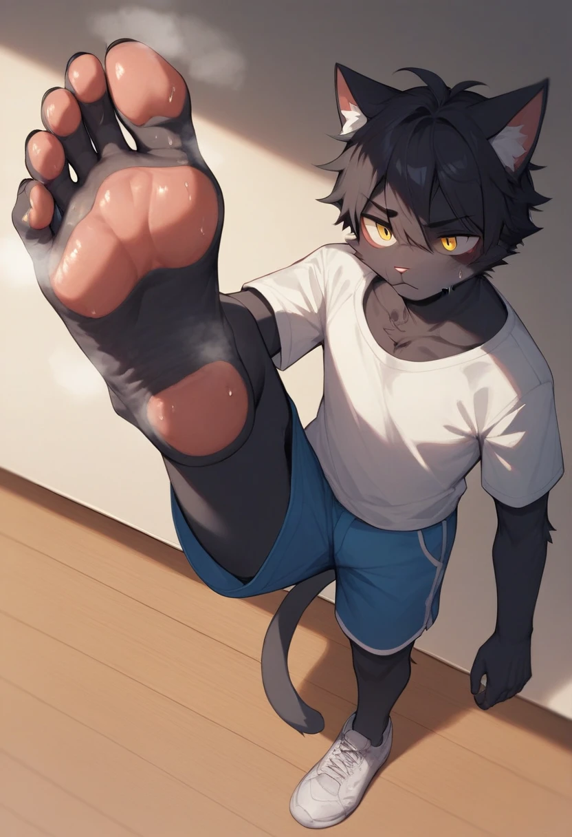 score_9,score_8_up,score_7_up,score_6_up,score_5_up, source_furry, hadrian,from above,fisheye,standing and show foot,shanding and show sole,standing on one leg,foot focus,sole,barefoot,no shoes,  furry male, cat boy, black fur, yellow eyes, black hair, paw_sloe,sharp_toenails, pawpads, shorts, steaming and sweat feet, stinky feet, sneakers