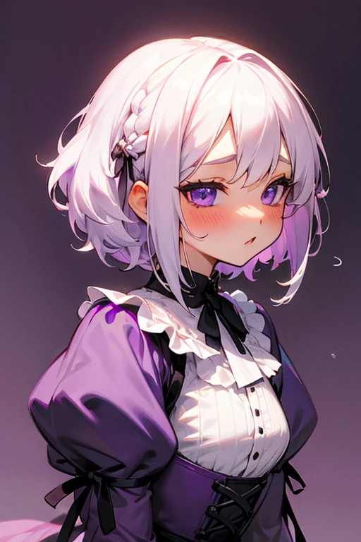 Short white hair, blush, Headbang 2.、cute、Beautiful woman、Stylish Gothic Lolita、Purple clothes、、Braiding、Background Paris、