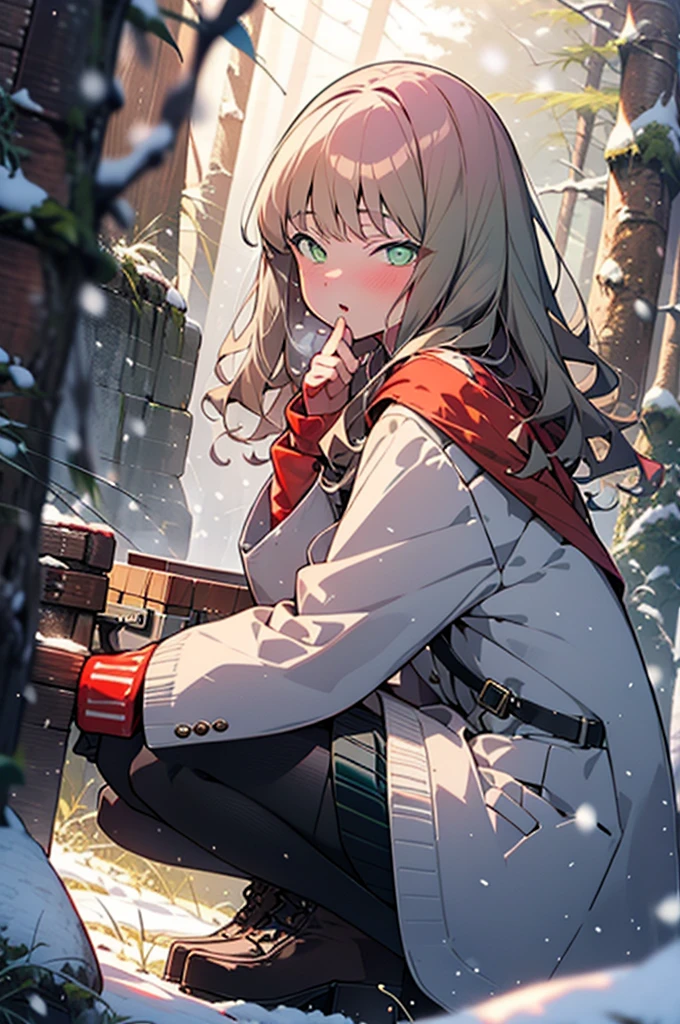 minami yume ,sss Dynazenon ,Long Hair, Brown Hair, (Green Eyes:1.5) ,blush,White Breath,
Open your mouth,snow,Ground bonfire, Outdoor, boots, snowing, From the side, wood, suitcase, Cape, Blurred, forest, White handbag, nature,  Squat, Mouth closed, Cape, winter, Written boundary depth, Black shoes, red Cape break looking at viewer, Upper Body, whole body, break Outdoor, forest, nature, break (masterpiece:1.2), Highest quality, High resolution, unity 8k wallpaper, (shape:0.8), (Beautiful and beautiful eyes:1.6), Highly detailed face, Perfect lighting, Extremely detailed CG, (Perfect hands, Perfect Anatomy),