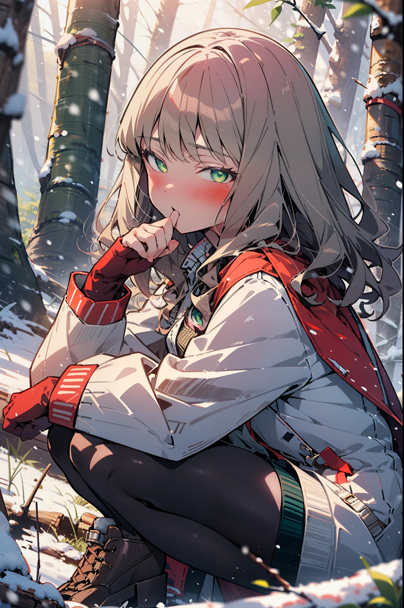 minami yume ,sss Dynazenon ,Long Hair, Brown Hair, (Green Eyes:1.5) ,blush,White Breath,
Open your mouth,snow,Ground bonfire, Outdoor, boots, snowing, From the side, wood, suitcase, Cape, Blurred, forest, White handbag, nature,  Squat, Mouth closed, Cape, winter, Written boundary depth, Black shoes, red Cape break looking at viewer, Upper Body, whole body, break Outdoor, forest, nature, break (masterpiece:1.2), Highest quality, High resolution, unity 8k wallpaper, (shape:0.8), (Beautiful and beautiful eyes:1.6), Highly detailed face, Perfect lighting, Extremely detailed CG, (Perfect hands, Perfect Anatomy),