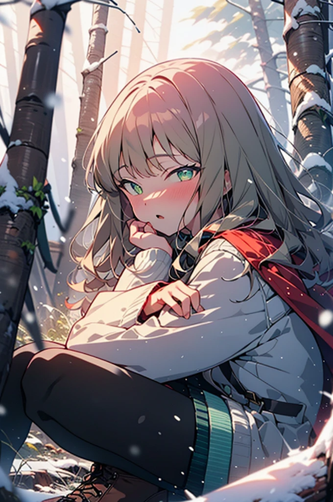 minami yume ,sss Dynazenon ,Long Hair, Brown Hair, (Green Eyes:1.5) ,blush,White Breath,
Open your mouth,snow,Ground bonfire, Outdoor, boots, snowing, From the side, wood, suitcase, Cape, Blurred, forest, White handbag, nature,  Squat, Mouth closed, Cape, winter, Written boundary depth, Black shoes, red Cape break looking at viewer, Upper Body, whole body, break Outdoor, forest, nature, break (masterpiece:1.2), Highest quality, High resolution, unity 8k wallpaper, (shape:0.8), (Beautiful and beautiful eyes:1.6), Highly detailed face, Perfect lighting, Extremely detailed CG, (Perfect hands, Perfect Anatomy),