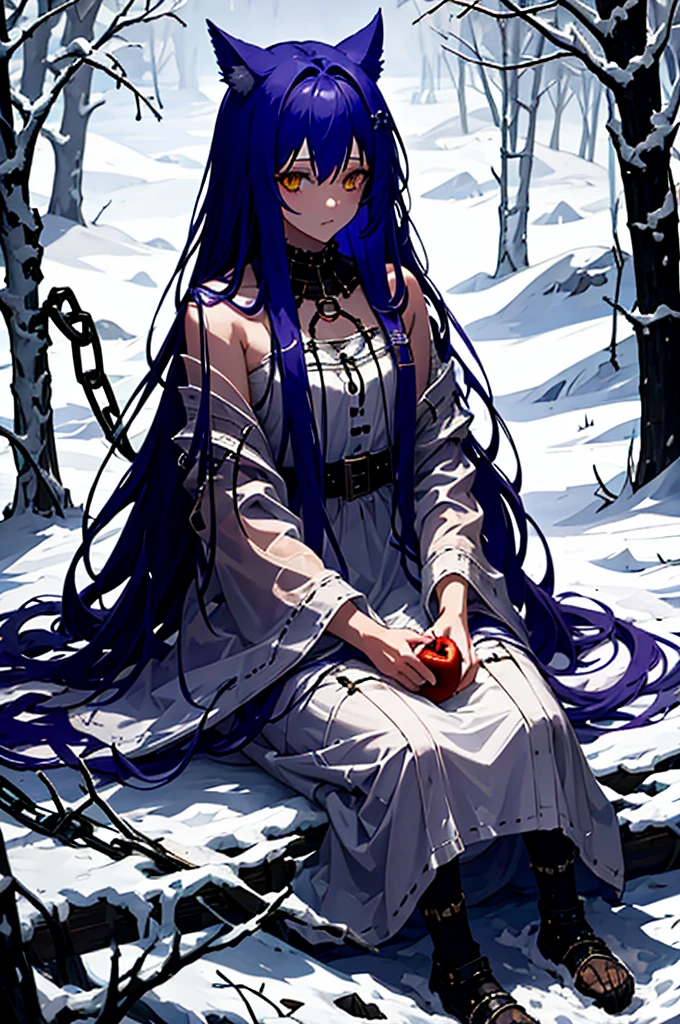 Fenrir, eat apple, sit down, Chainned, winter, outdoor, white dress, tattered clothes, 