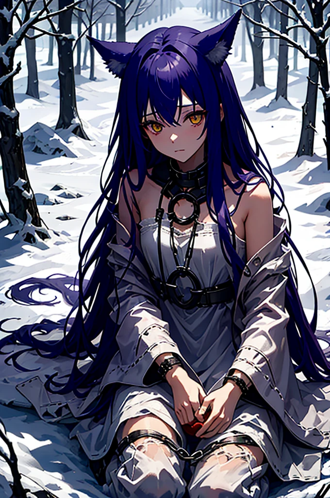 Fenrir, eat apple, sit down, Chainned, winter, outdoor, white dress, tattered clothes, 