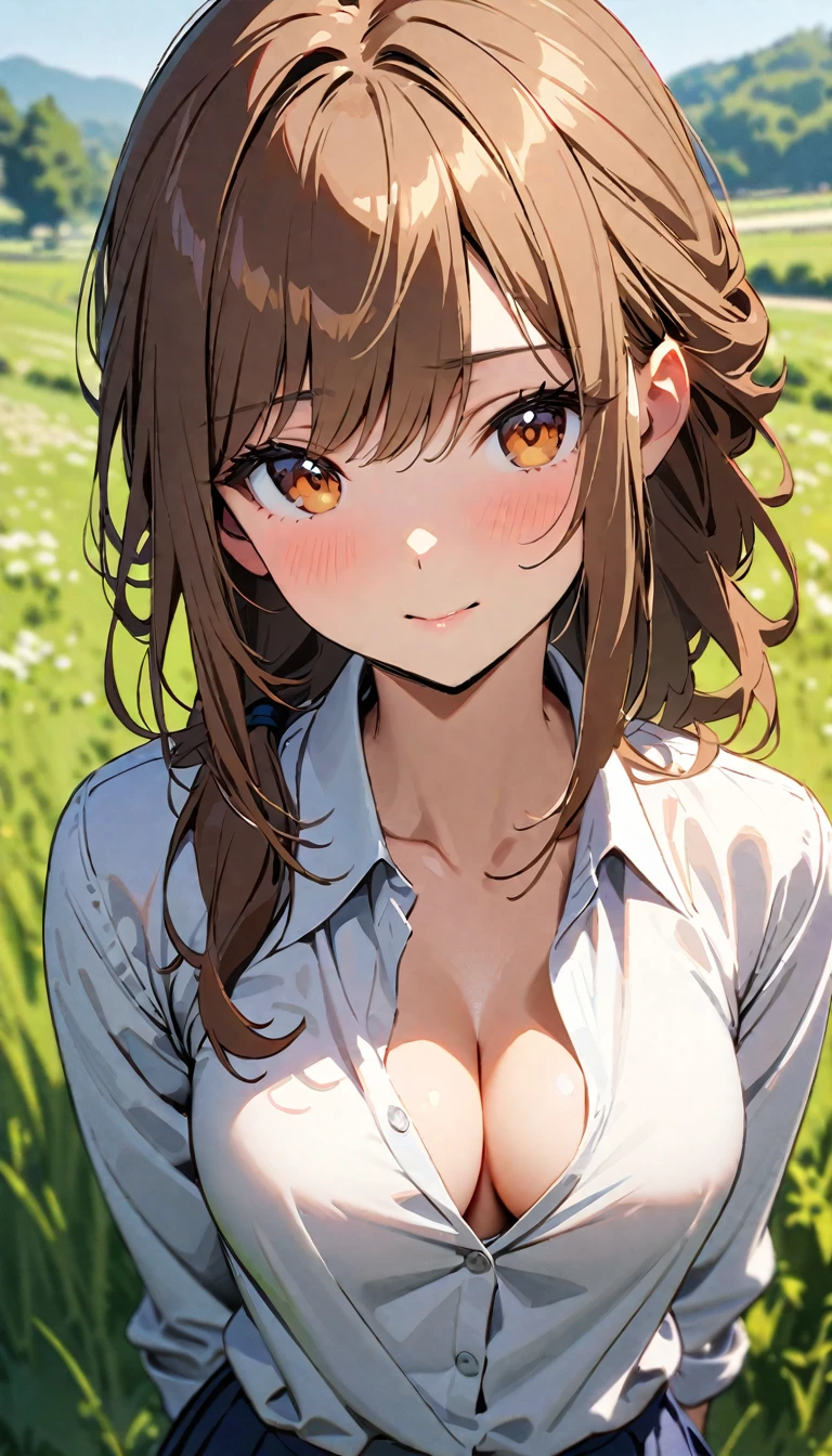 ((Top Quality)), ((Masterpiece)), (Detail), high resolution, Perfect Face, Fine Eyes, Depth of Field, Special Shading, upper body, (1 Beautiful girl), medium breasts, cleavage, (Caramel brown hair, mullet hairstyle), (school uniform), dress shirt, pleated skirt, Scenery of the countryside,