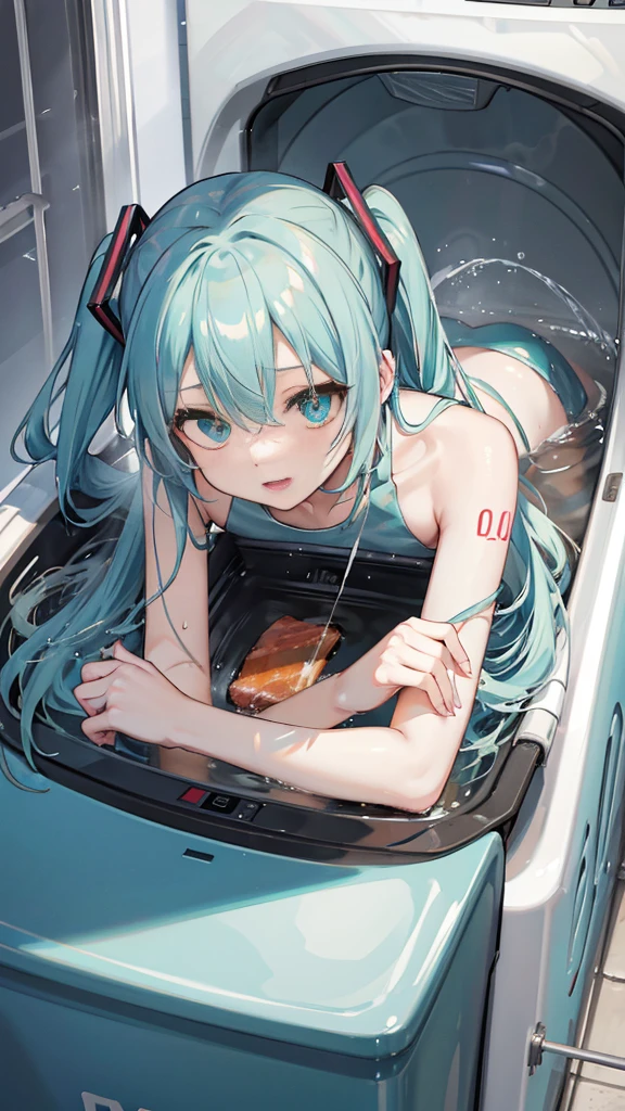Hatsune Miku having a BBQ in the washing machine