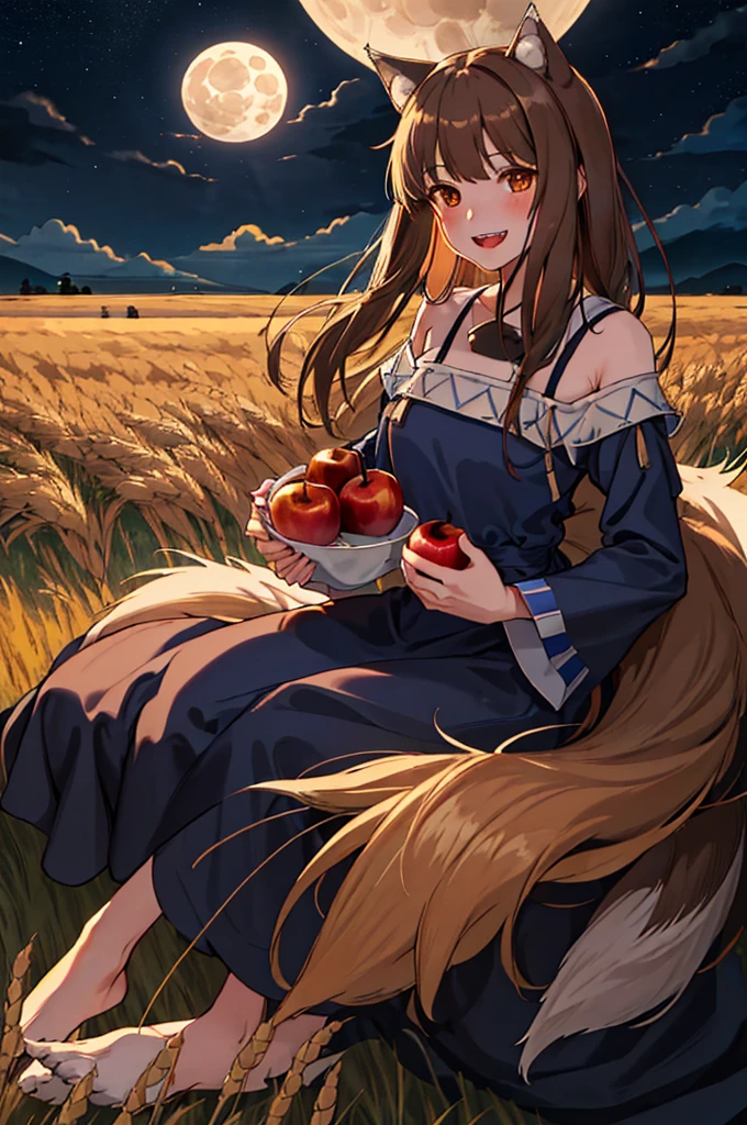Highest quality、High resolution、1 Girl、alone、Run、犬teeth、teeth、(Bangs alignment、Light brown hair、Wolf Ear、Ending、Run、Navy Blue Dress、Wheat field at night、full moon、Has a big tail、I have one apple