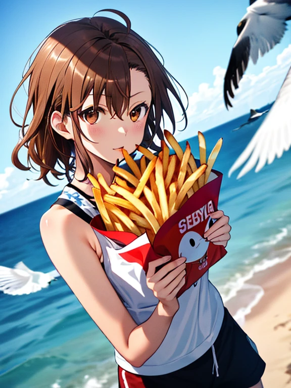 Seagulls and French fries, Seagull and Fries, (tibi Misaka Mikoto), UHD, retina, masterpiece, ccurate, anatomically correct, textured skin, super detail, high details, high quality, best quality, highres, 4K