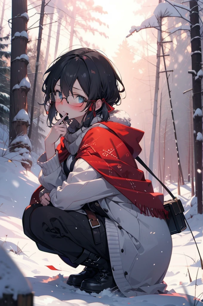 Shino Asada, Shino Asada, (black eye:1.5), Black Hair, Hair between the eyes, Hair Ribbon, short hair, Side Lock, Glasses, (Small breasts:1.2),blush,White Breath,
Open your mouth,snow,A bonfire on the ground, Outdoor, boots, snowing, From the side, wood, suitcase, Cape, Blurred, having meal, forest, White handbag, nature,  Squat, Mouth closed, Cape, winter, Written boundary depth, Black shoes, red Cape break looking at viewer, Upper Body, whole body, break Outdoor, forest, nature, break (masterpiece:1.2), Highest quality, High resolution, unity 8k wallpaper, (shape:0.8), (Beautiful and beautiful eyes:1.6), Highly detailed face, Perfect lighting, Extremely detailed CG, (Perfect hands, Perfect Anatomy),