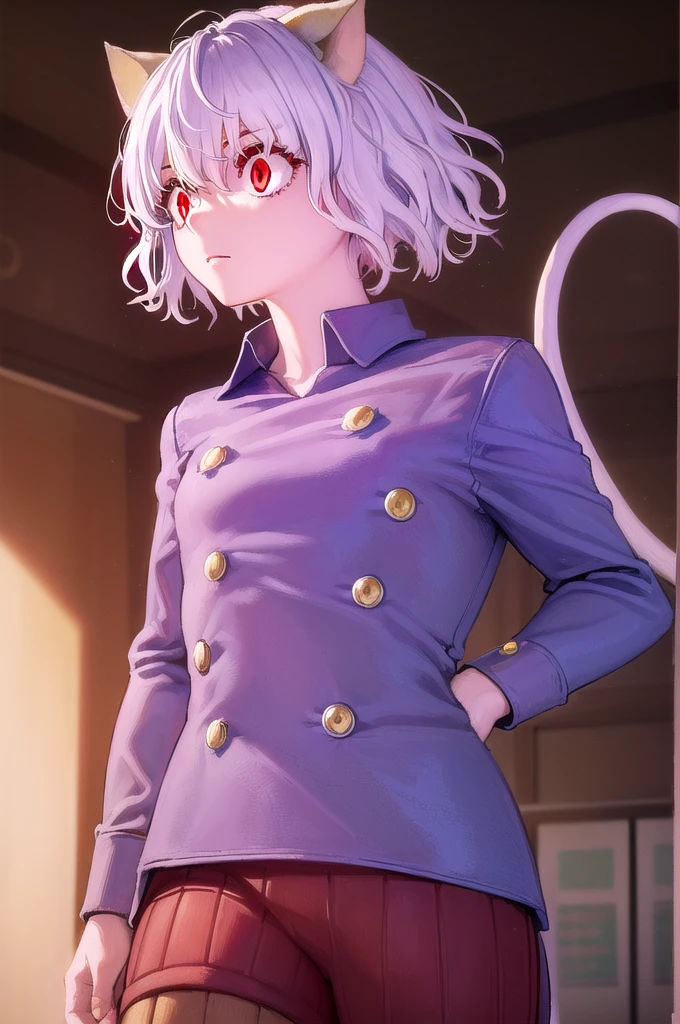 Neferpitou, Neferpitou, short hair, (Red eyes:1.5), Animal ears, Hair between the eyes, tail, Gray Hair, Cat ear, cat tail, Cat girl, Curly Hair,
break long sleeves, Shorts, Striped, button, brown Shorts, shirt, collared shirt, blue shirt,
break looking at viewer,
break indoors, classroom, (Cowboy Shot:1.5),
break (masterpiece:1.2), Highest quality, High resolution, unity 8k wallpaper, (figure:0.8), (beautiful detailed eyes:1.6), extremely detailed face, Perfect lighting, extremely detailed CG, (Perfect hands, Perfect Anatomy),