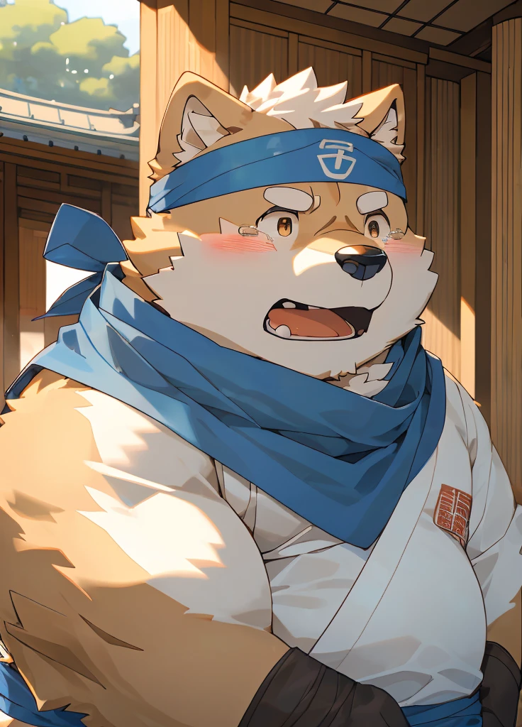 (masterpiece),(Very detailed),(best quality),hairy,Shiba Inu,fur,White hair,Gray pupil,Chubby,(poor),(Japanese samurai costume),((Blue scarf)),((Brown headband)),(blush:1.1),((Tears)),Sad expression,Temple Background,8K,(high quality),(Ultra high quality),(Very detailed),(Best Works)