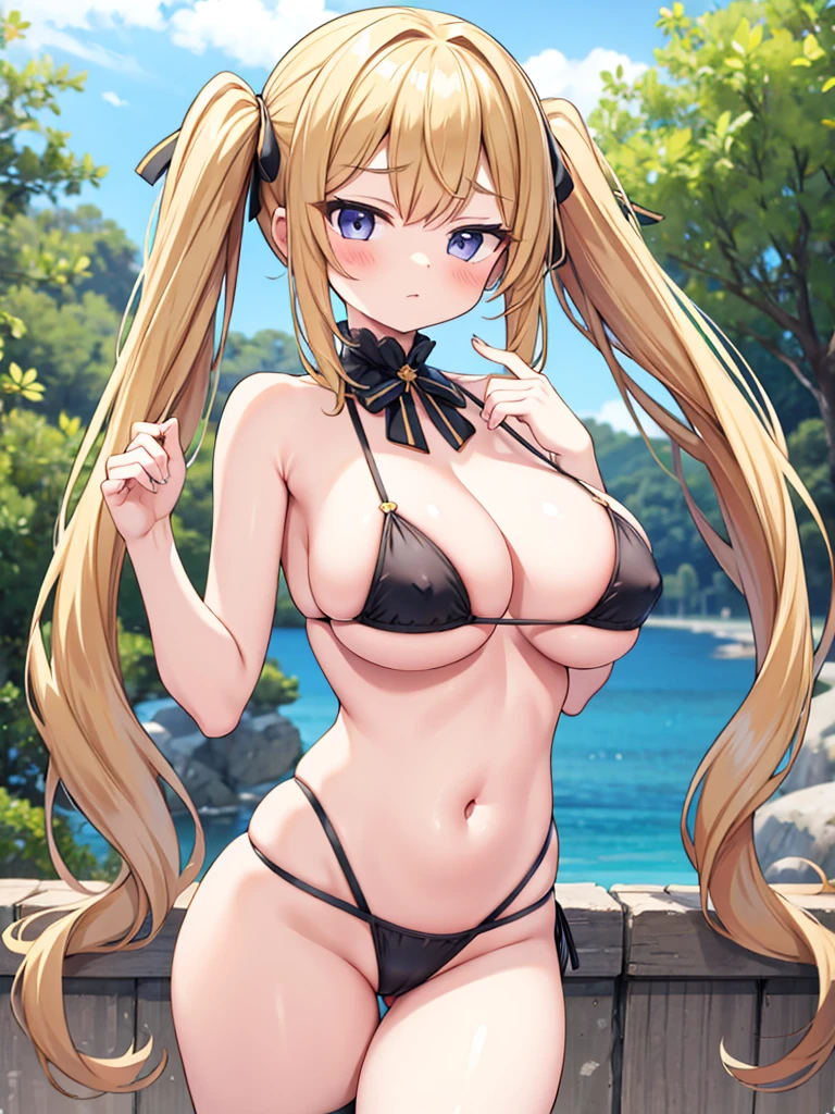 masterpiece, best quality, ultra detailed,1 girl , large breasts , long hair, twin tails, ), micro bikini, BREAK, camel toe,