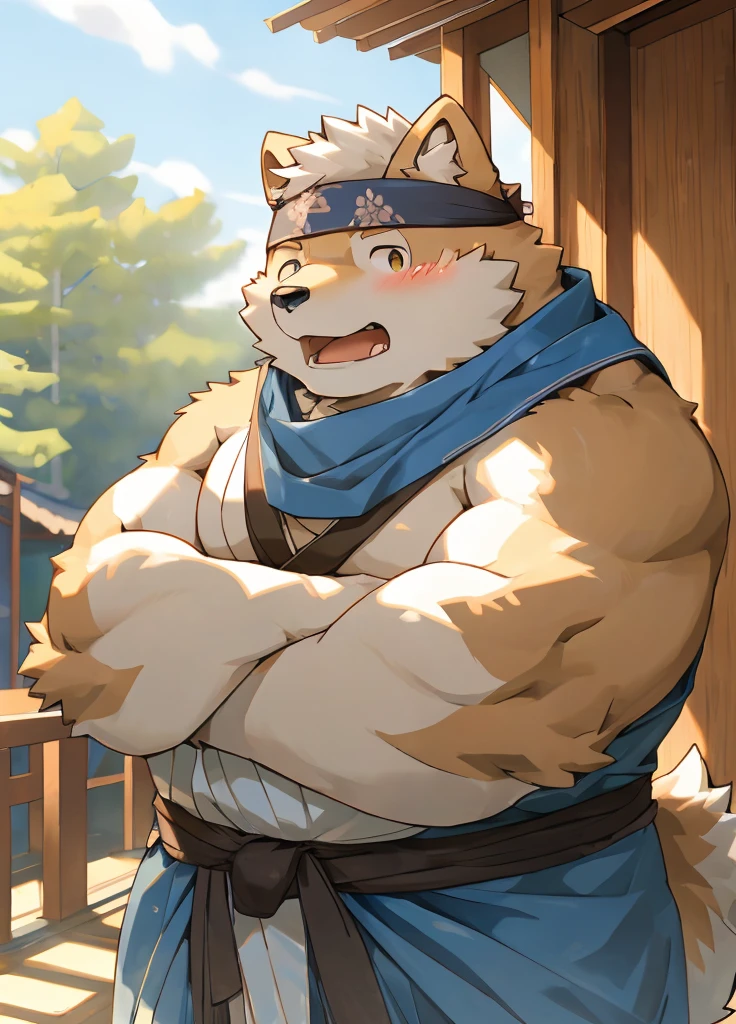 (masterpiece),(Very detailed),(best quality),hairy,Shiba Inu,fur,white hair,Gray pupil,Chubby,(Poor),(Japan samurai attire),((blue scarf)),((Brown headband)),(blush:1.1),((shy)),紧张shy的表情,Temple Background,8K,(high quality),(Ultra high quality),(Super detailed),(Best Works)