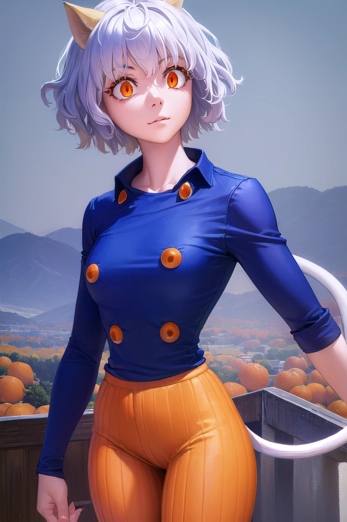 female、tall、29-year-old、adult、Neferpitou, short hair, Cute face、Cute like an idol、(Orange eyes:1.5), Animal ears, Hair between the eyes, tail, Gray Hair, Cat ear, cat tail, Cat girl, Curly Hair,((The background is the countryside、forest、))、Mountains in the distance、blue sky、
break long sleeves, Shorts, Striped, button, brown Shorts, shirt, collared shirt, blue shirt,
break  (Cowboy Shot:1.5),
break (masterpiece:1.2), Highest quality, High resolution, unity 8k wallpaper, (figure:0.8), (beautiful detailed eyes:1.6), extremely detailed face, Perfect lighting, extremely detailed CG, (Perfect hands, Perfect Anatomy),smile、Thick thighs、Uplifting、