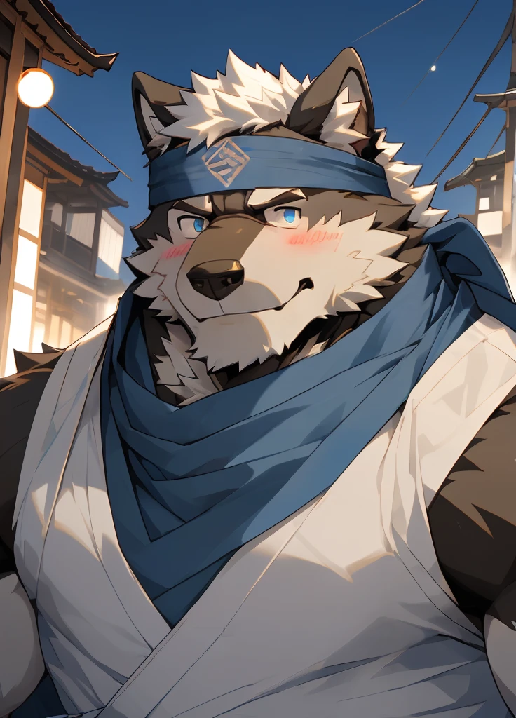 (masterpiece),(Very detailed),(best quality),hairy,Wolf,Dark black fur,white hair,Gray pupil,Muscular,(Japan samurai attire),((blue scarf)),((Brown headband)),(blush:1.1),Handsome expression,City background,8K,(high quality),(Ultra high quality),(Super detailed),(Best Works)