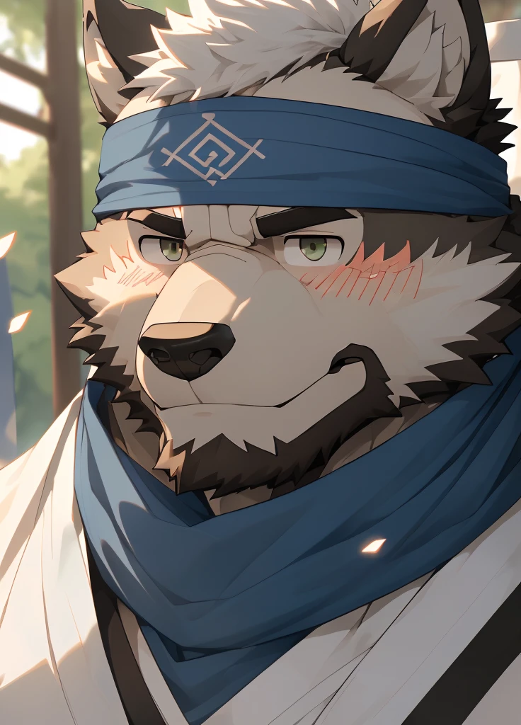 (masterpiece),(Very detailed),(best quality),hairy,Wolf,Dark black fur,white hair,Gray pupil,Muscular,(Japan samurai attire),((blue scarf)),((Brown headband)),(blush:1.1),Handsome expression,((Ultra HD close-up:1.4)),8K,(high quality),(Ultra high quality),(Super detailed),(Best Works)