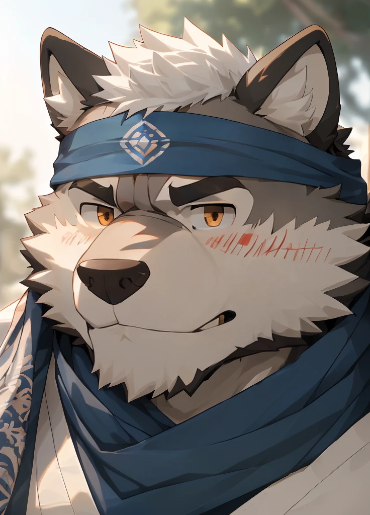 (masterpiece),(Very detailed),(best quality),hairy,Wolf,Dark black fur,white hair,Gray pupil,Muscular,(Japan samurai attire),((blue scarf)),((Brown headband)),(blush:1.1),Handsome expression,((Ultra HD close-up:1.4)),8K,(high quality),(Ultra high quality),(Super detailed),(Best Works)