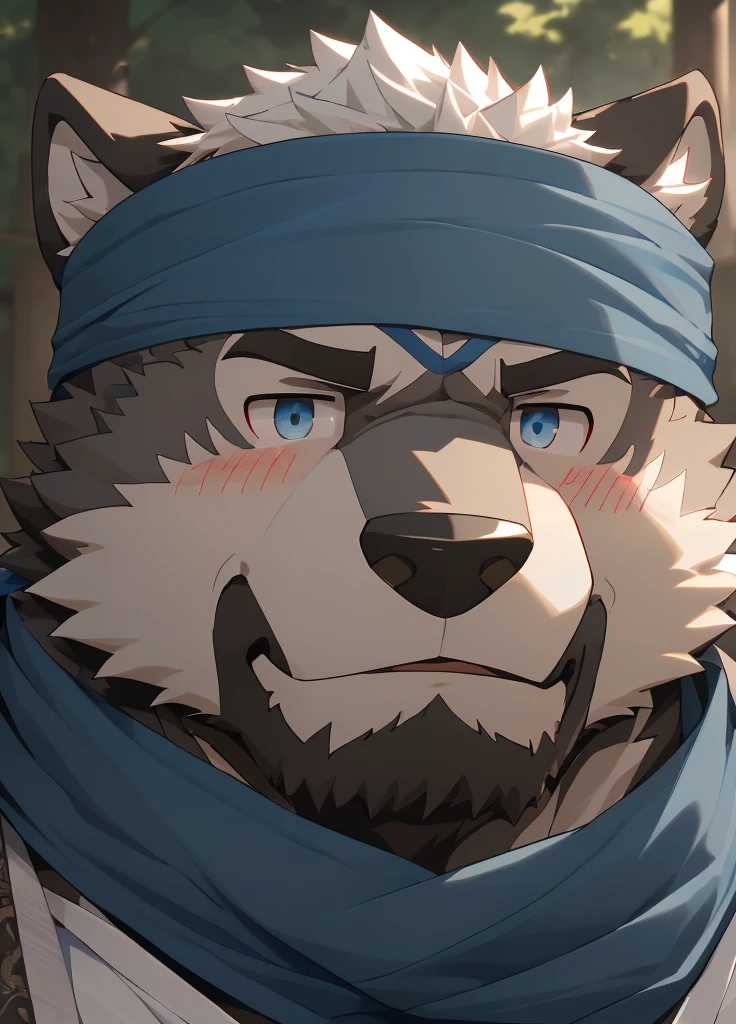 (masterpiece),(Very detailed),(best quality),hairy,Wolf,Dark black fur,white hair,Gray pupil,Muscular,(Japan samurai attire),((blue scarf)),((Brown headband)),(blush:1.1),Handsome expression,((Ultra HD close-up:1.4)),8K,(high quality),(Ultra high quality),(Super detailed),(Best Works)