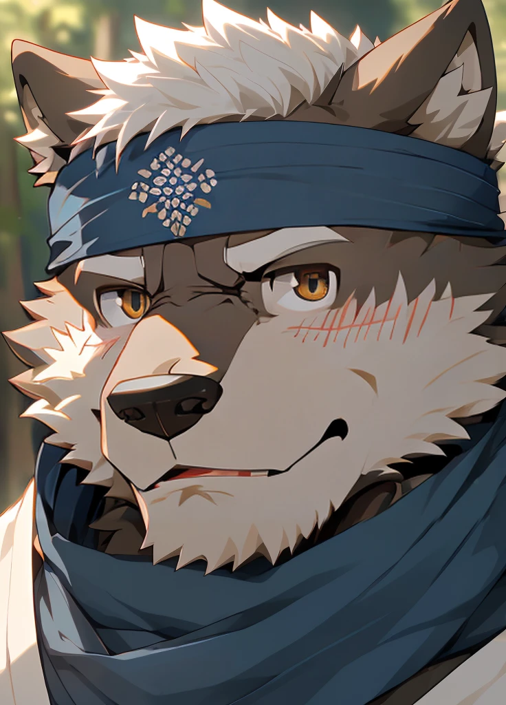 (masterpiece),(Very detailed),(best quality),hairy,Wolf,Dark black fur,white hair,Gray pupil,Muscular,(Japan samurai attire),((blue scarf)),((Brown headband)),(blush:1.1),Handsome expression,((Ultra HD close-up:1.4)),8K,(high quality),(Ultra high quality),(Super detailed),(Best Works)