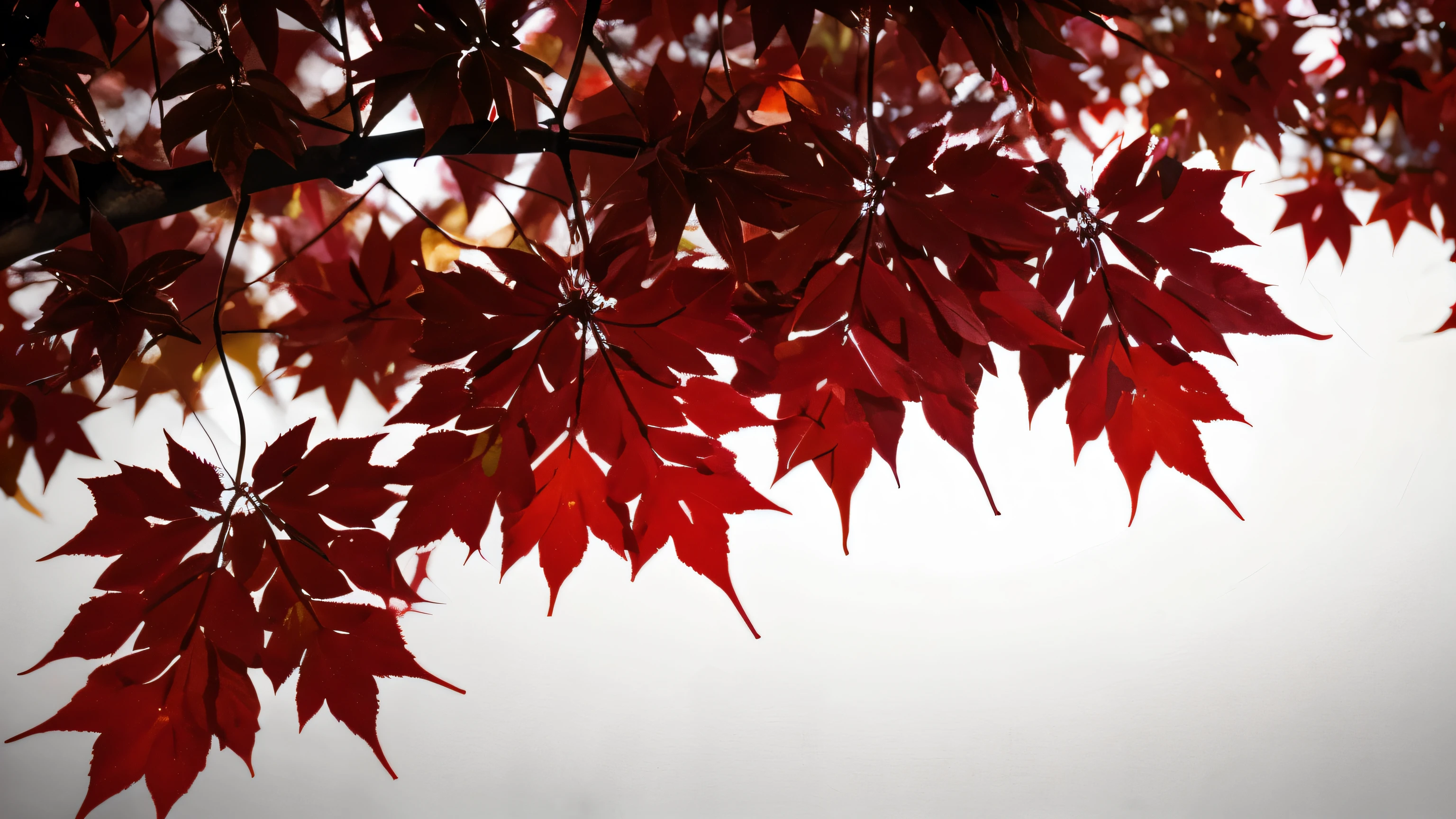 Abstract red black leaves background. Composition of vivid red leaves entangled in dark branches, creating a striking visual contrast on a subdued backdrop
