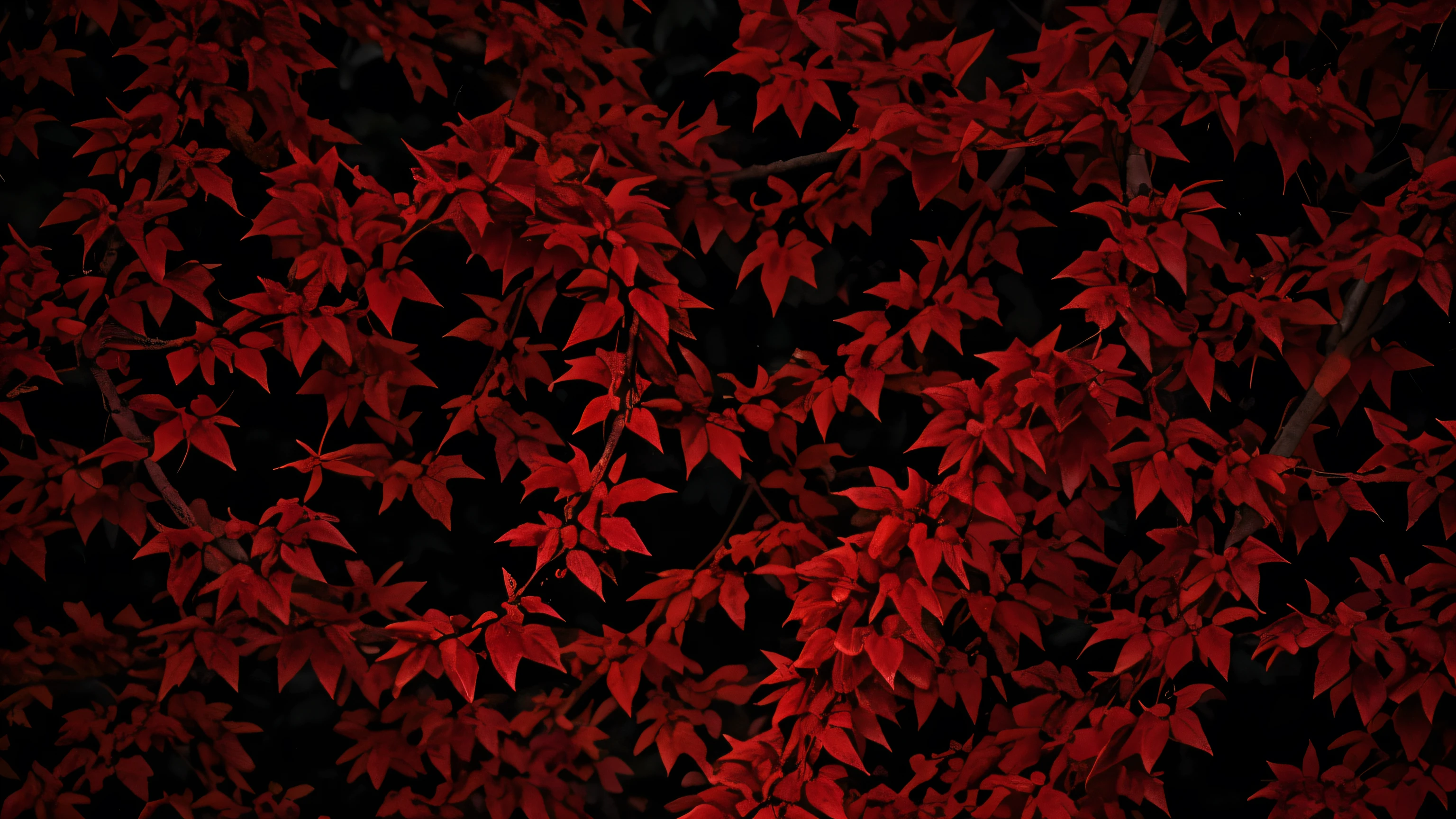 Abstract red black leaves background. Composition of vivid red leaves entangled in dark branches, creating a striking visual contrast on a subdued backdrop