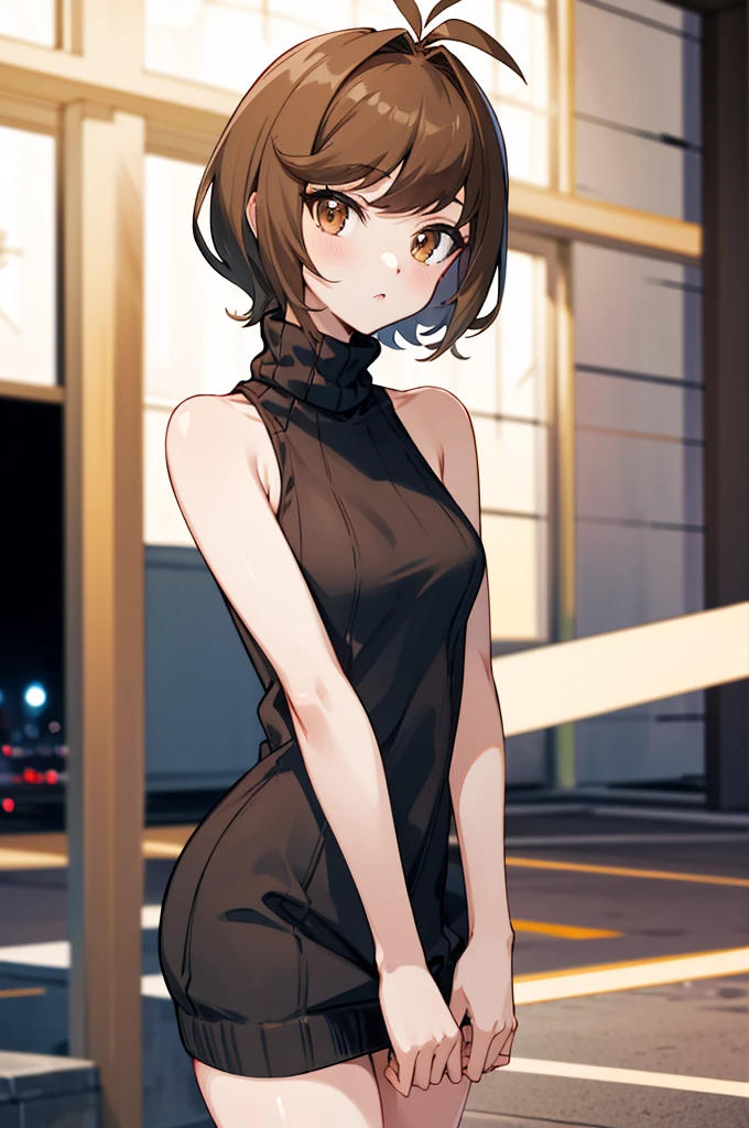 masterpiece, best quality, highres, hmza, short hair, antenna hair, brown eyes, sweater dress, virgin killer sweater, turtleneck, sleeveless, night, street,