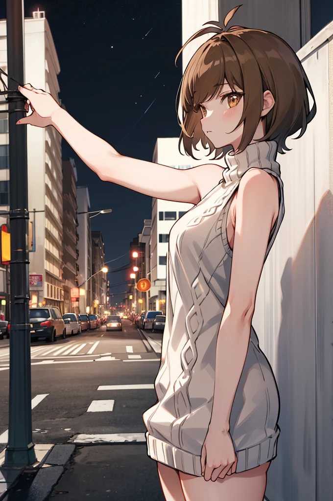 masterpiece, best quality, highres, hmza, short hair, antenna hair, brown eyes, sweater dress, virgin killer sweater, turtleneck, sleeveless, night, street,standing,from side