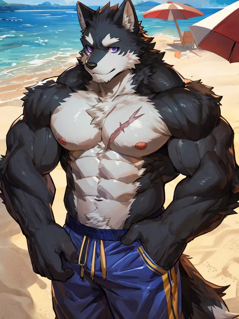 embedding:black wolf, male,purple eyes,Scar on the face, scar on the body,Single Person,A swimsuit,Beach Pants，Mature, The highest quality of scene detail,adult,Tall and powerful,muscle，Best quality hands, best quality eye，detailed fur，Delicate eyes.Extreme picture quality，by sollyz,by zixiong,by milkytiger1145