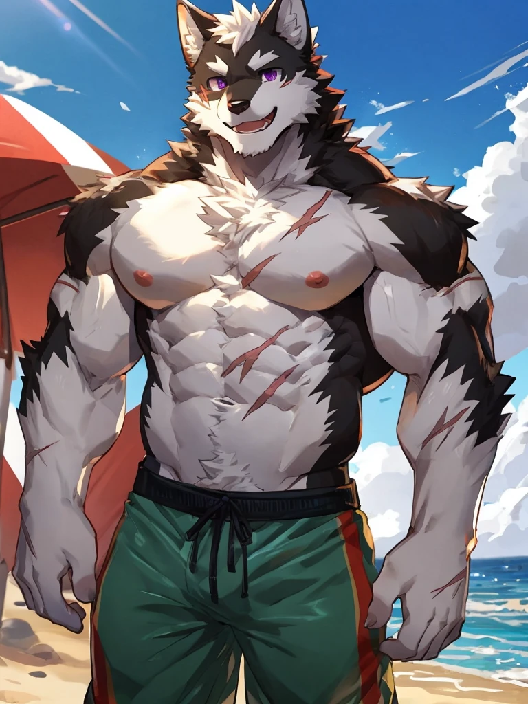 embedding:black wolf, male,purple eyes,Scar on the face, scar on the body,Single Person,A swimsuit,Beach Pants，happy,Mature, The highest quality of scene detail,adult,Tall and powerful,muscle，Best quality hands, best quality eye，detailed fur，Delicate eyes.Extreme picture quality，by sollyz,by zixiong,by milkytiger1145