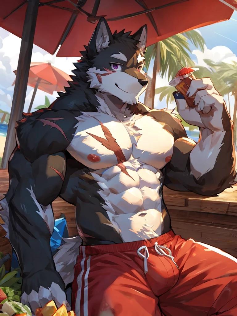 embedding:black wolf, male,purple eyes,Scar on the face, scar on the body,Single Person,A swimsuit,Beach Pants,happy,Mature, The highest quality of scene detail,adult,Tall and powerful,muscle,Best quality hands, best quality eye,detailed fur,Delicate eyes.Extreme picture quality,by sollyz,by zixiong,by milkytiger1145