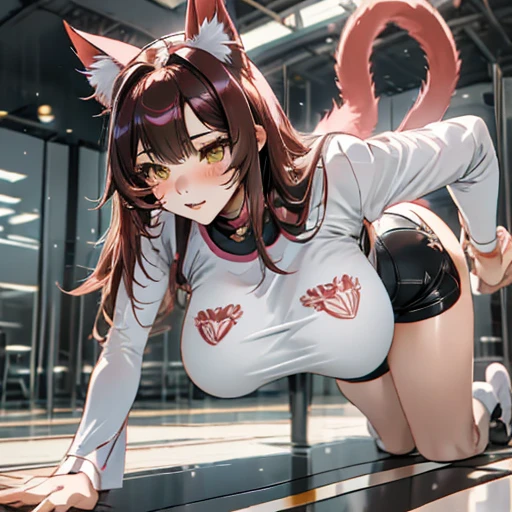 Taiwanese girl 18 years old with baby face and big breasts(((a lot of,Big boobs,Beauty))arafed asian woman wearing white shirt and black shorts lying on yoga mat,charming cat girl,Very beautiful and cute cat girl,Beautiful young cat girl,Anime Girls Cosplay,girl with cat ears,real life anime girls,animated cat girl,cat ears and tail, cat ears anime girl, korean girl, Ahri from League of Legends is a girl wearing a maid outfit,有著Big boobs,There are three women in maid costumes,Doing push-ups on mat in gym,charming depiction,Lively and dynamic,images full of energy